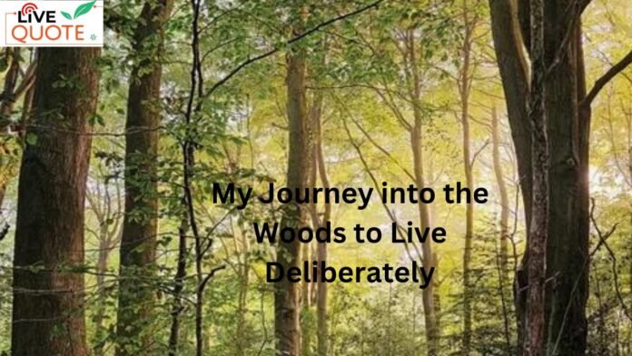 My Journey into the Woods to Live Deliberately