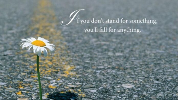 If you don't stand for something you'll fall