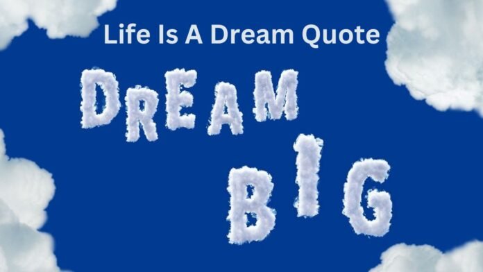 Life Is A Dream Quote