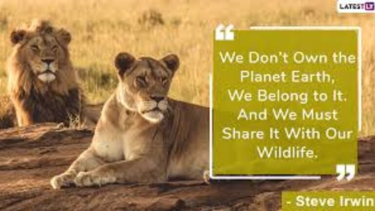 Preserving Nature Inspiring Quotes on Wildlife Conservation